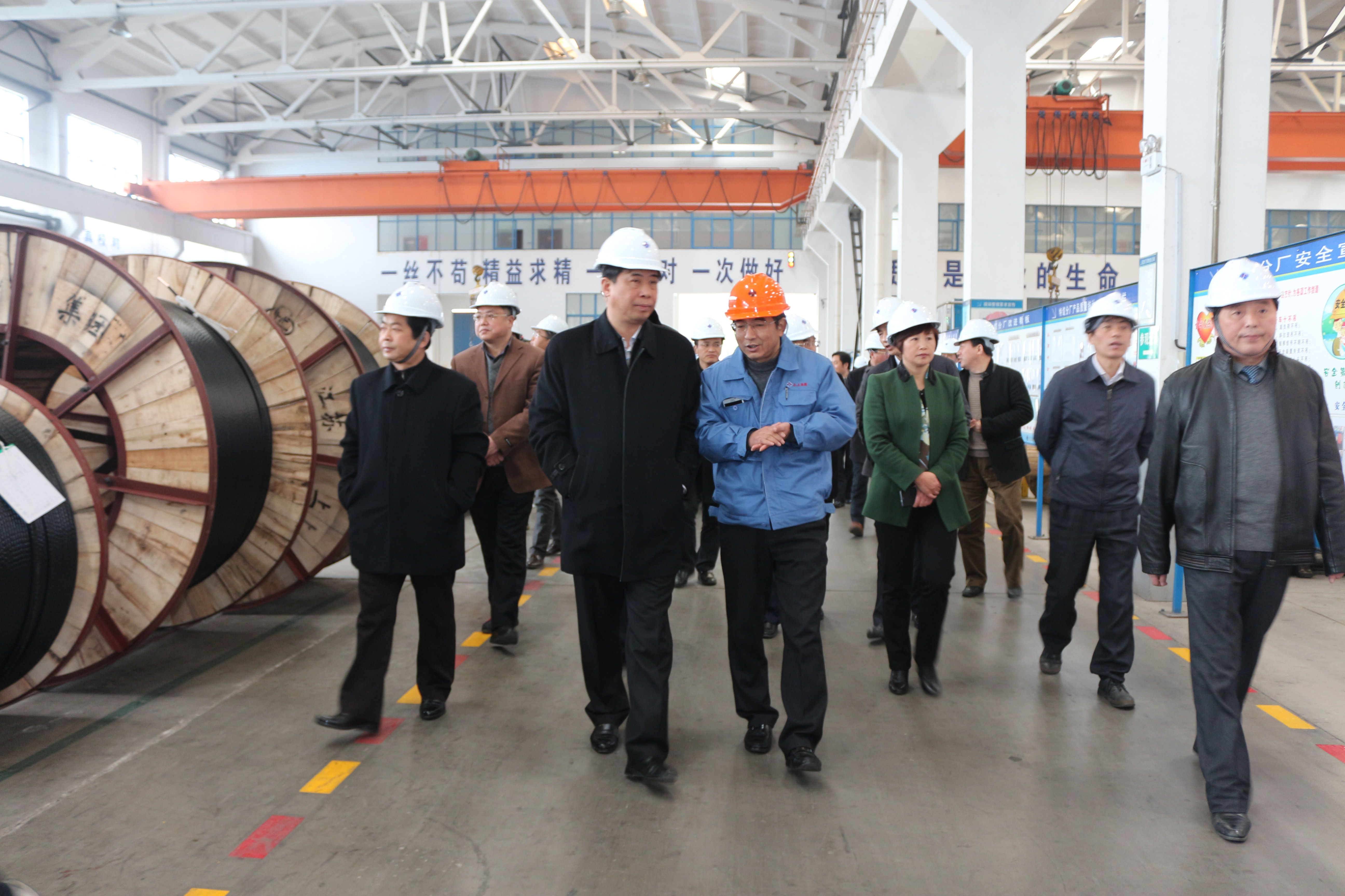 2015年3月11日，安徽省和縣黨政代表團(tuán)一行來上上電纜考察