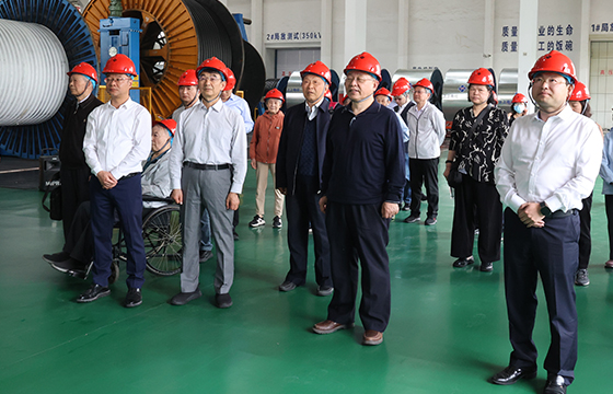 1681886586227867sgw0.jpg 全景.jpg