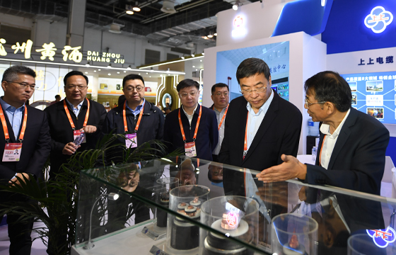 1715650867987758tDme.jpg 江蘇省委常委、常務副省長馬欣蒞臨上上展位-2.jpg