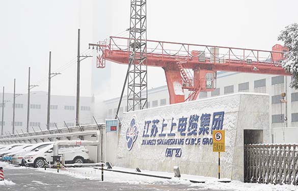 1768905183786861QzST.jpg 3.jpg